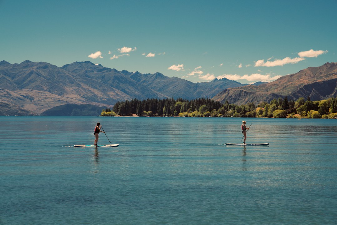 Paddle