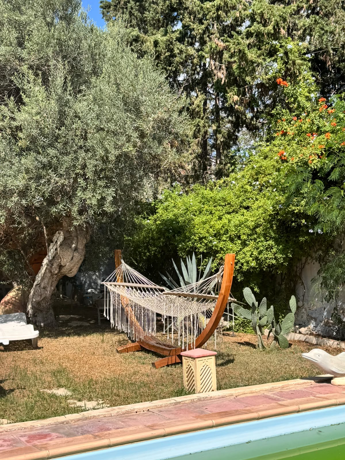 Jardin calme et hamac à Dar Fenina à Hammamet